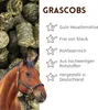 Supravit Grascobs Pferd 20kg | natürliche Graspellets als Produktbild-Vorschau 2