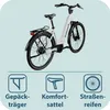Tretwerk Amber Nexus E Bike Damen 28 Zoll Elektrofahrrad Produktbild-Vorschau 8