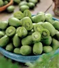 BALDUR Garten 3er DUO-Kiwi-Turm-Kollektion, Pflanzen im 9x9 Produktbild-Vorschau 2