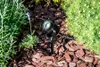 A black outdoor spotlight is placed in a garden bed with mulch and plants. Anteprima dell’immagine prodotto