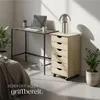 A modern home office setup with a desk, a roll container, a laptop, a lamp, and plants. Náhled obrázku produktu