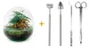 Flaschengarten Dome Glaskugel DIY-Pflanzenterrarium 20 cm Produktbild-Vorschau 1