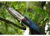 Akku-Teleskop-Hochentaster GKE 18V-25 TP Produktbild-Vorschau 14