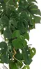 Emerald Künstliche Monstera 75 cm im Topf Produktbild-Vorschau 5