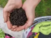 Univerzálna zemina LECHUZA UNIPON 40 litrov | pre vonkajšie Náhľad obrázku produktu 11