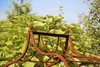 GardenAndPools Rosenbogen BRESLAU Gesamtbreite 1,30 m Produktbild-Vorschau 8