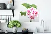 MuchoWow® Poster Bunte Geranienblüten 50x50 cm - Produktbild-Vorschau 3