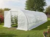 Serre tunelle de jardin avec porte 6 x 3 m "Mimosa" - 18 m² Voir les images du produit 2