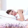 Vitapur Lavender Provence cuscino classico con essenza di Anteprima dell’immagine prodotto 4