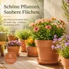 Pflanztopfuntersetzer Mira Terrakotta Ø 68cm - Rund Produktbild-Vorschau 4