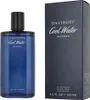 Parfum pour homme Cool Water Intense Davidoff (125 ml) Voir les images du produit 13