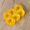 Genius Ideas 6 Stück Wespenfalle für Flaschen Produktbild-Vorschau 2