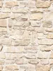 A.S. Création carta da parati in pietra Elementi di carta Anteprima dell’immagine prodotto 19