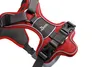 Imbracatura Hunter Divo, colore:rosso/grigio, taglie:S-M Anteprima dell’immagine prodotto 4