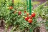 Bradas TYP11150 Produktbild-Vorschau 7