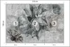 Muralo Selbstklebende Fototapete BLUMEN Beton Optik Vintage Produktbild-Vorschau 2