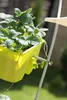 Prosperplast Blumenkasten CROWN Weiß 24,2 cm Produktbild-Vorschau 20