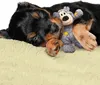 KONG Wild Knots Bears, Hund, Plüschspielzeug, Braun, Plüsch Produktbild-Vorschau 3