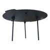 Premium Gusseisen Grill- und Feuerschale  Ø 44 cm Produktbild-Vorschau 2