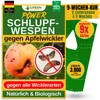 Green Guardia Schlupfwespen gegen Apfelwickler -3x Karten Produktbild-Vorschau 1