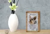 Holzschild Spruch 12x18cm Yorkshire Hund Schild Produktbild-Vorschau 5