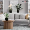A living room scene with a sofa, coffee table, and plants. Náhľad obrázku produktu