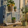 Étagère à plantes sur roulettes Mica Decorations Greenrax - Voir les images du produit 3