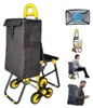 Einkaufswagen Treppensteiger mit Kühlfach und Klappsitz, Produktbild-Vorschau 1