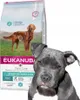 Eukanuba 8710255172149, Dospelý, Akékoľvek plemeno, 12 kg Náhľad obrázku produktu 5