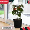 KOTARBAU® 2er Set Tomatenpflanze Pflanzkübel ⌀ 30 cm mit Produktbild-Vorschau 2