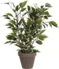 Kunstpflanze Ficus im Topf grün/mehrfarbig 40cm Produktbild-Vorschau 1