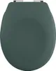 A dark green toilet seat is shown from a top-down view against a white background. Produktbild-Vorschau