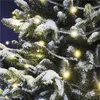 Standard LED spojovací vánoční řetěz, 5 m, venkovní i vnitřní, teplá bílá Anteprima dell’immagine prodotto