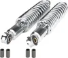 Set di puntoni ammortizzatori 300mm cromati per Zündapp Anteprima dell’immagine prodotto 2