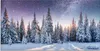 ARTland Glasbild Tannenwald im Schnee vorm Sternenhimmel Produktbild-Vorschau 1