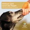 AniForte Magen & Darm Snack für Hunde 300g - Produktbild-Vorschau 6