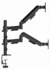 Gembird Adjustable Desk 2-Display Mounting Arm 17” Anteprima dell’immagine prodotto 4