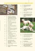 Ausdrucksverhalten beim Hund Produktbild-Vorschau 6