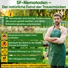 POWER SF-Nematoden gegen Trauermücken,2 Mio. für 20 Produktbild-Vorschau 7