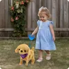 Lolex | Interaktiver Hund - mit Leine - 30 cm - Produktbild-Vorschau 11