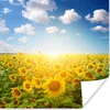 MuchoWow® Poster Sonnenblume - Sonne - Wolken 50x50 cm - Produktbild-Vorschau 1
