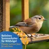 Leimüller Vogelfutter Wildvögel 25kg (Sommer Spezial) mit Produktbild-Vorschau 2