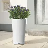 LECHUZA-Pflanzgefäß CILINDRO Cottage 32 Weiß | Pflanzsäule Produktbild-Vorschau 3