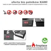 Bruciatore a bioetanolo Insert 220/220 WAVE Anteprima dell’immagine prodotto 3
