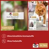 Doppelherz para animales, complejo anti-bolas de pelo, Vista previa de la imagen del producto 7