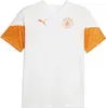 Puma Manchester City Fc 23/24 Training Kurzarm-t-shirt Produktbild-Vorschau 1