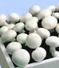 BALDUR Garten 1x Weiße Edel-Champignons (Kulturset), Pilze Produktbild-Vorschau 4