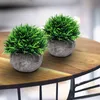 Belle Vous Mini Künstliche Pflanzen im Topf (2er Pack) Produktbild-Vorschau 12