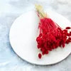 Phalaris Getrocknete - Kanariengras - Rot Produktbild-Vorschau 5