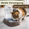 2in1 Futterautomat Wasserspender Hund Trockenfutter Automat Produktbild-Vorschau 7